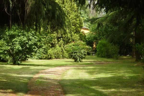 Bed and Breakfast Tenuta Le Risare Campo San Martino Zewnętrze zdjęcie
